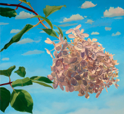 Hydrangea I  22x24  2012